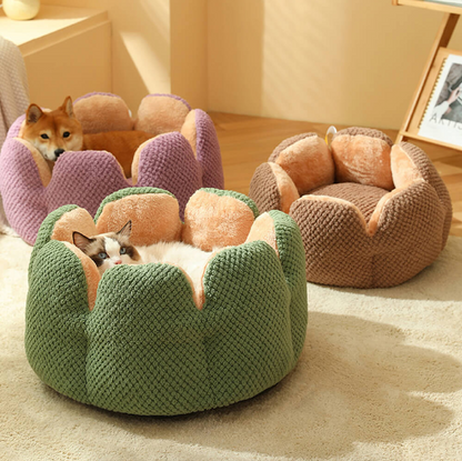 Cuccia per animali domestici CozyCactus™